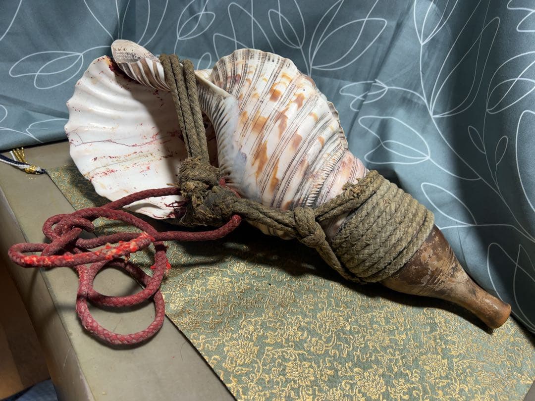 ほら貝 法螺貝 和楽器 貝殻製の楽器 楽天市場】【法螺貝】ほら貝 大 37センチ : 三島屋楽器