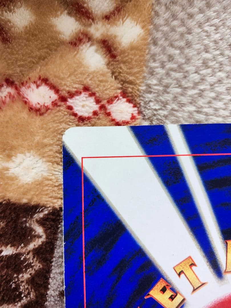 旧裏】ピカチュウのなつやすみ スペシャルジャンボカード 【コロコロ