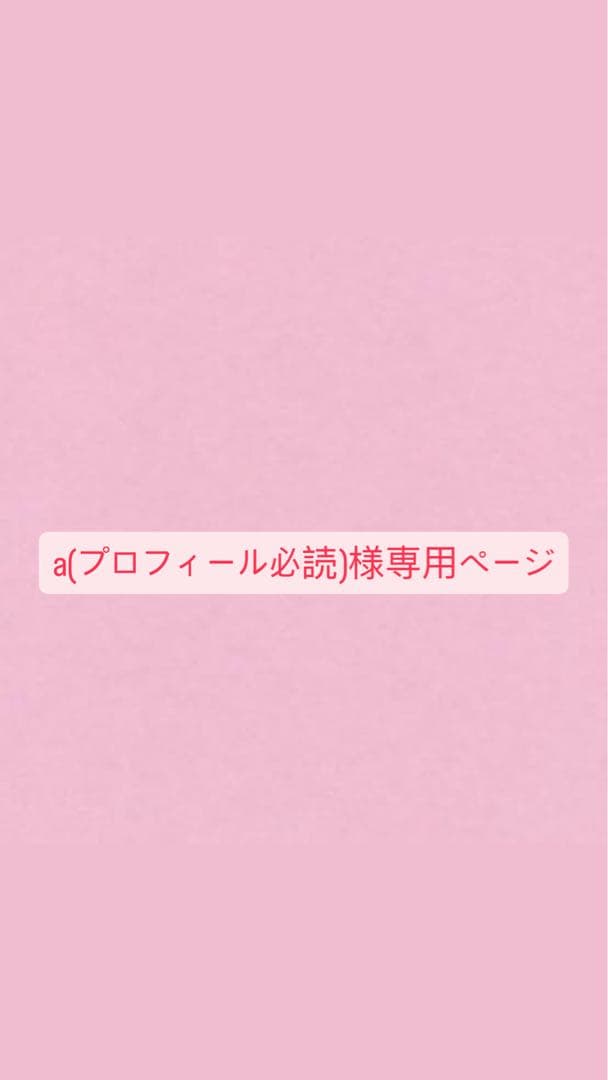 a(プロフィール必読)様専用ページ - メルカリ