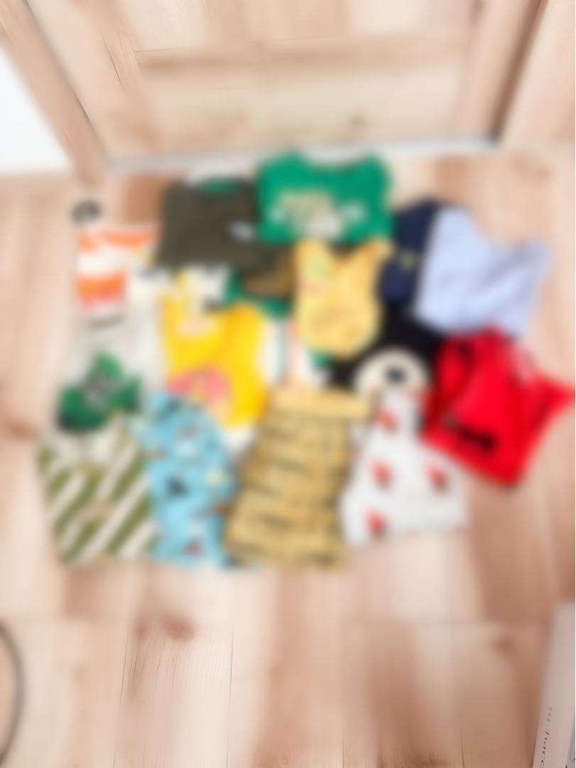 110サイズ ④ Kawasaki-Ninja-ZX-10R-SE-2020-