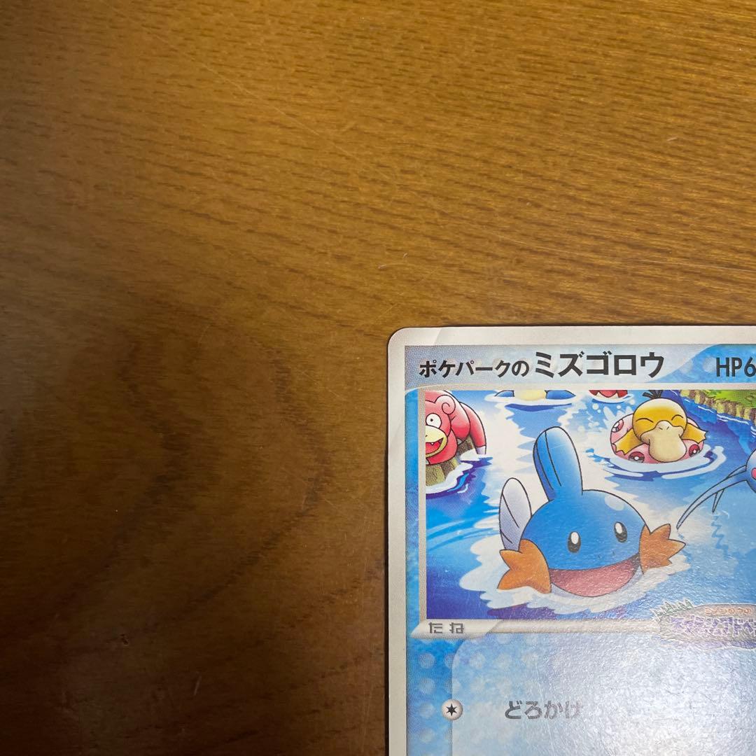 ポケパークのミズゴロウ - メルカリ