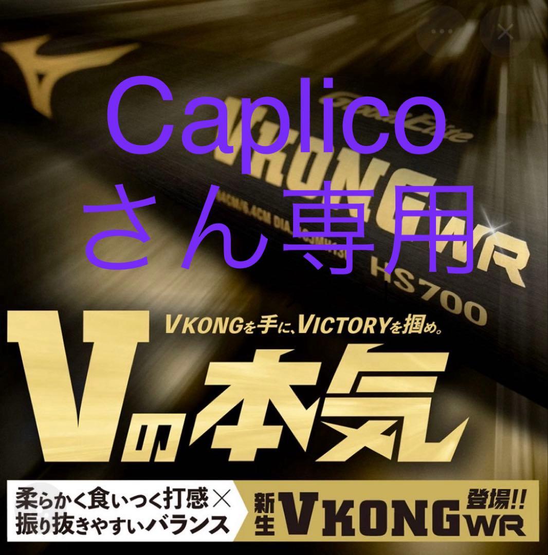 Mizuno VKONG WR 新基準 硬式バット