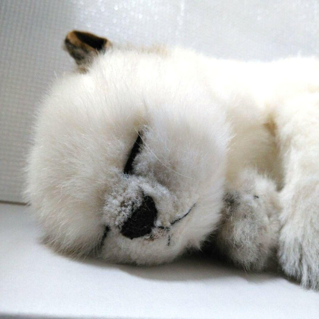 リーベ社 リアル眠り猫 ぬいぐるみ 昭和レトロ 白色 クリーム色 - メルカリ
