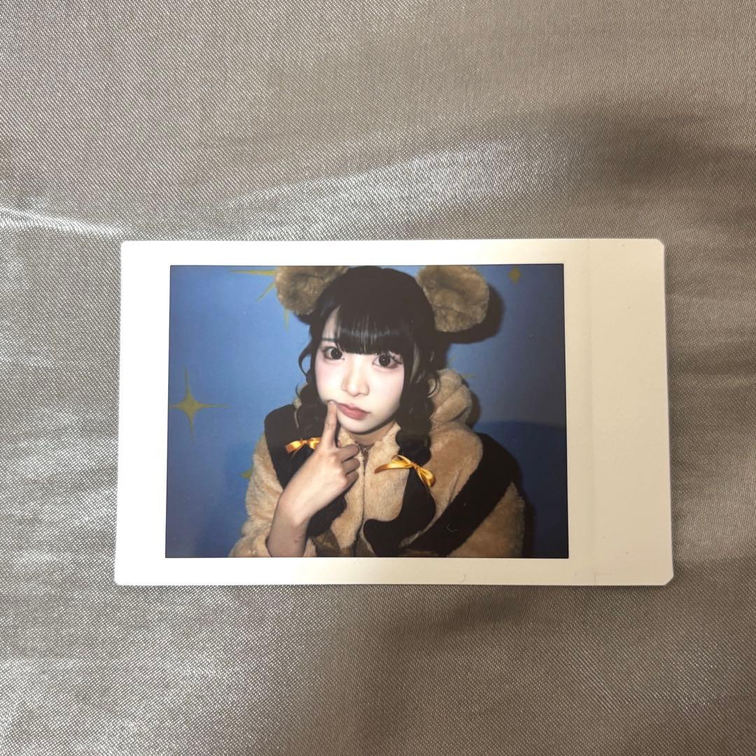 小熊まむ生誕祭ランチェキ - メルカリ