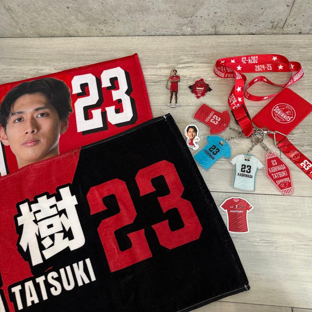 サントリーサンバーズ23 柏田樹