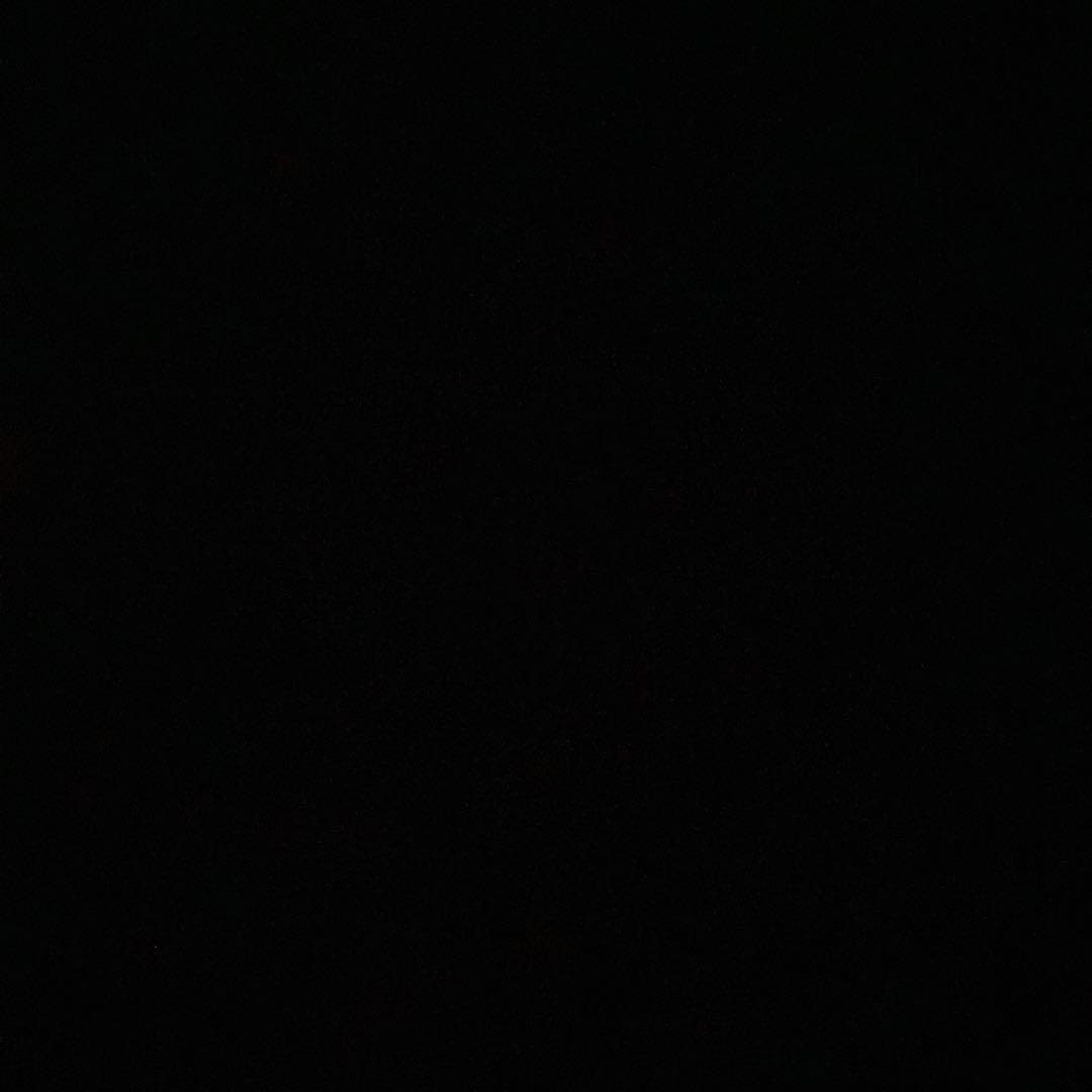 しーちゃんさま専用出品