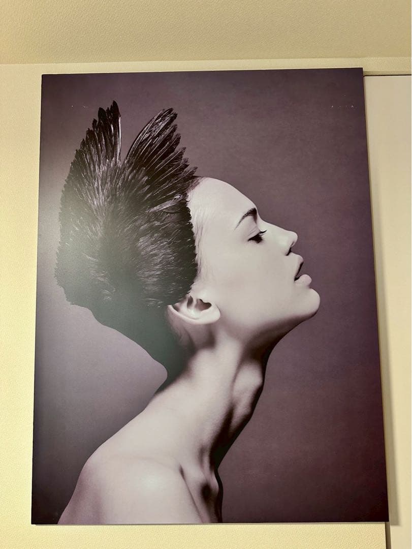 BoConcept (ボーコンセプト) アートパネル メタルプリント