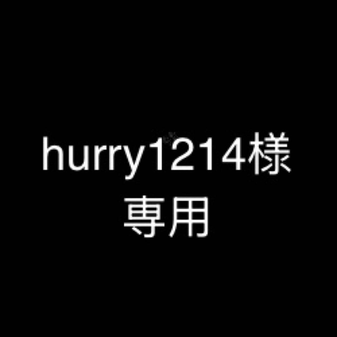 hurry1214専用ページ 20260213