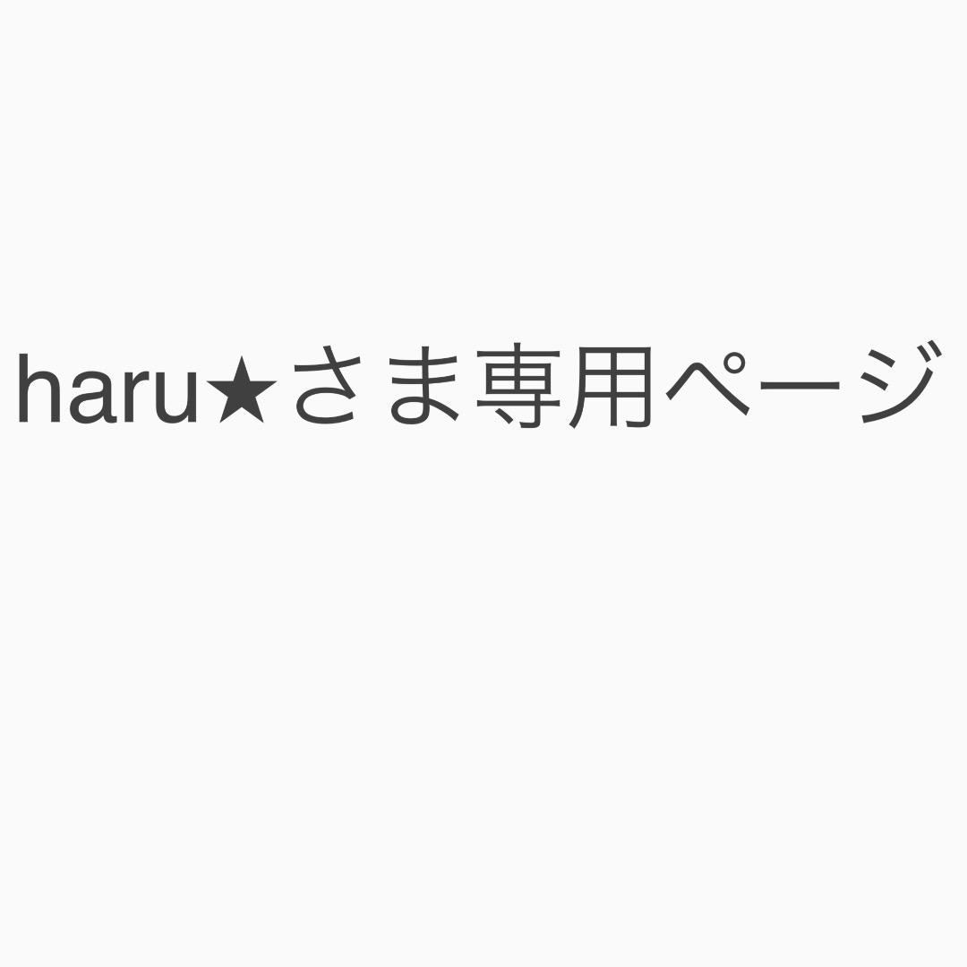 haru★さま専用ページ