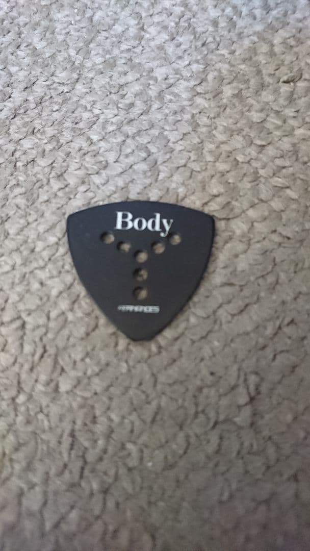 瀧川一郎氏 使用済ピック