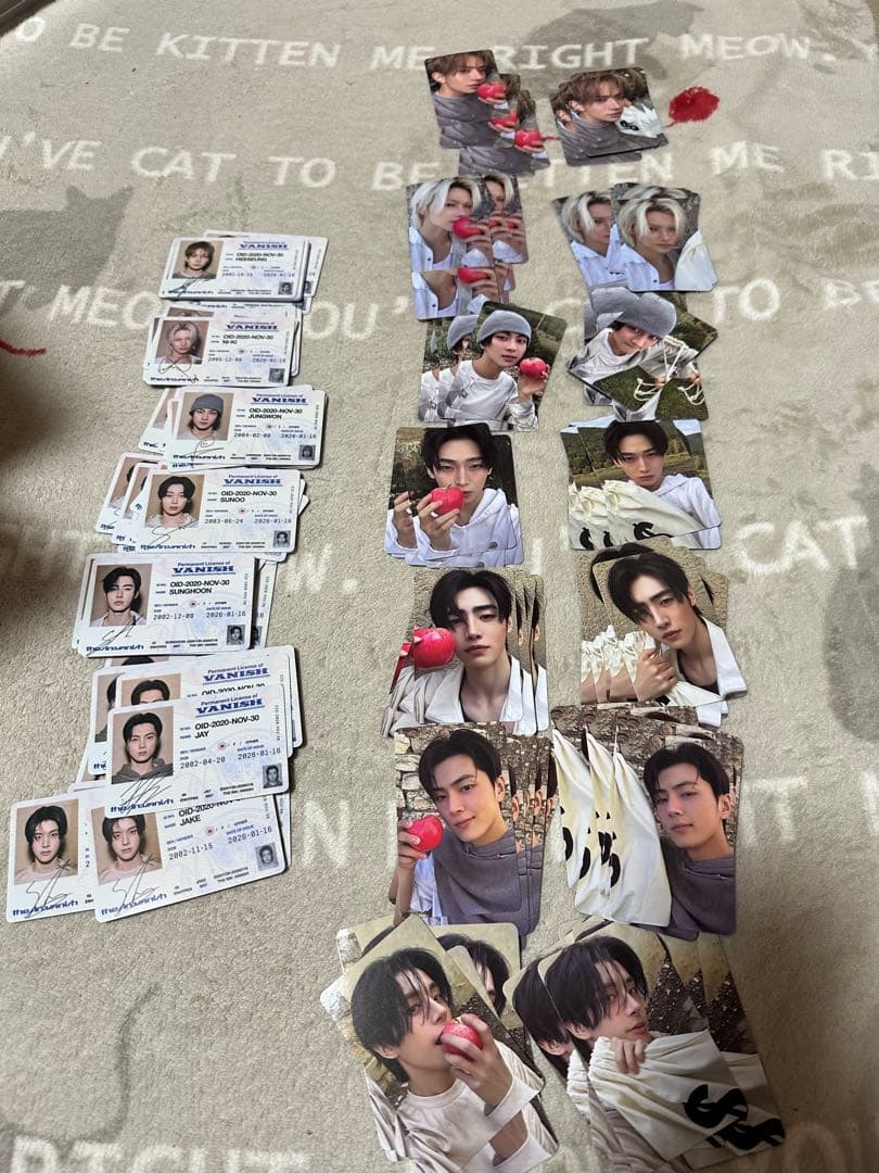 ENHYPEN THE SIN VANISH トレカ 105枚