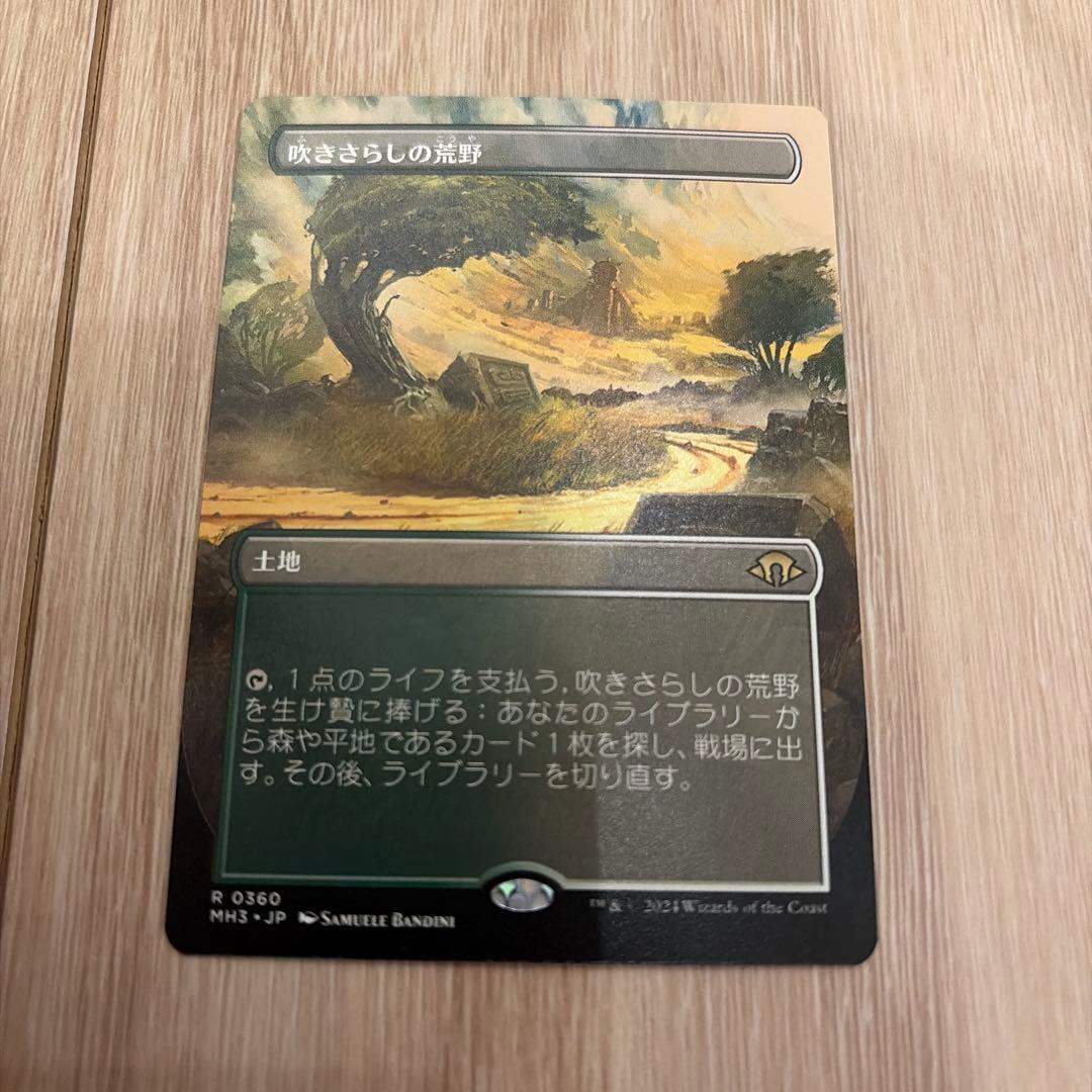 吹きさらしの荒野 mtg - メルカリ