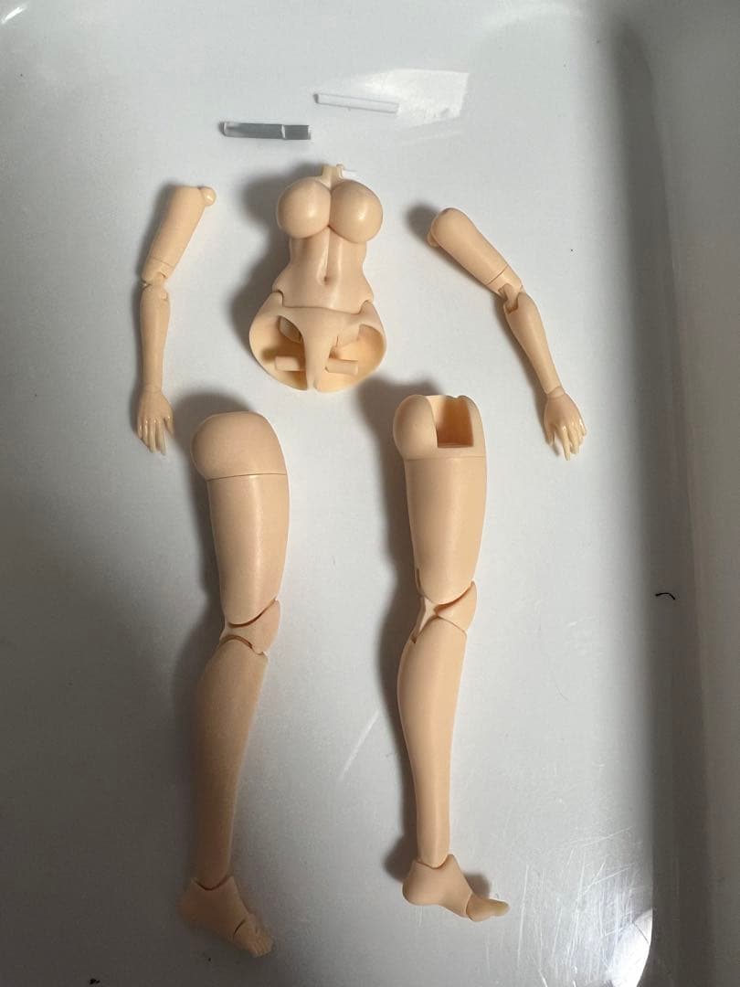 メガミデバイス Koi-Doll スキンカラーA 鯉印 - メルカリ