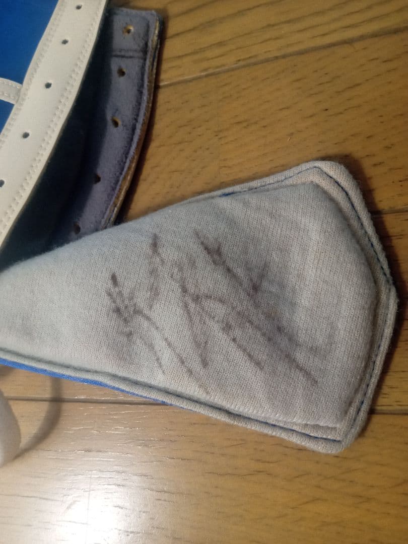 獅龍 プロレスマスク 青 サイン入り - メルカリ