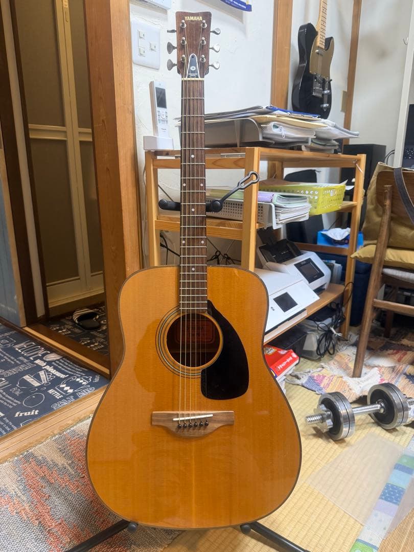 【美品/L.R.PU付】YAMAHA The FG 2018年製 ハードケース付