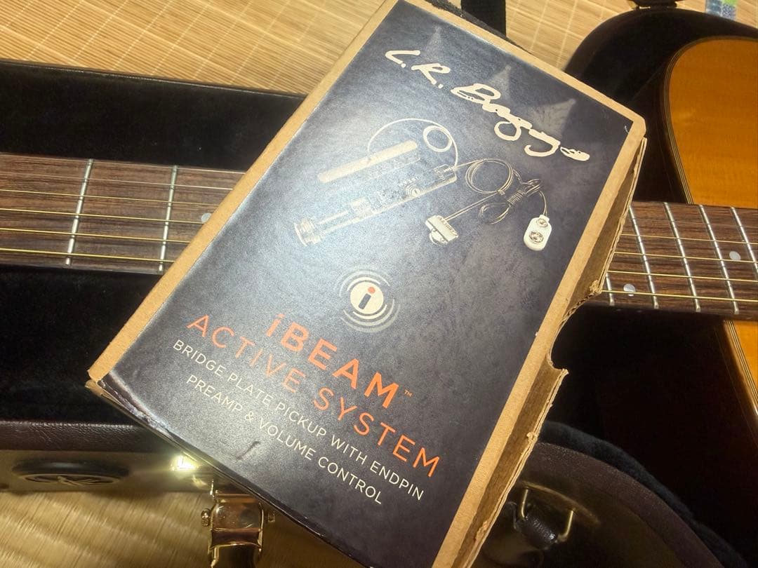 美品/L.R.PU付】YAMAHA The FG 2018年製 ハードケース付 - メルカリ