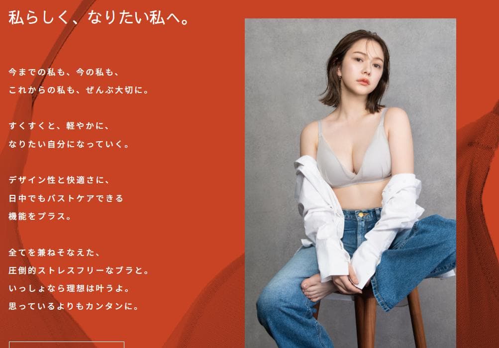 新品TOLEETY ブラ ショーツ L 軽やかストレスフリーブラ EF75-85