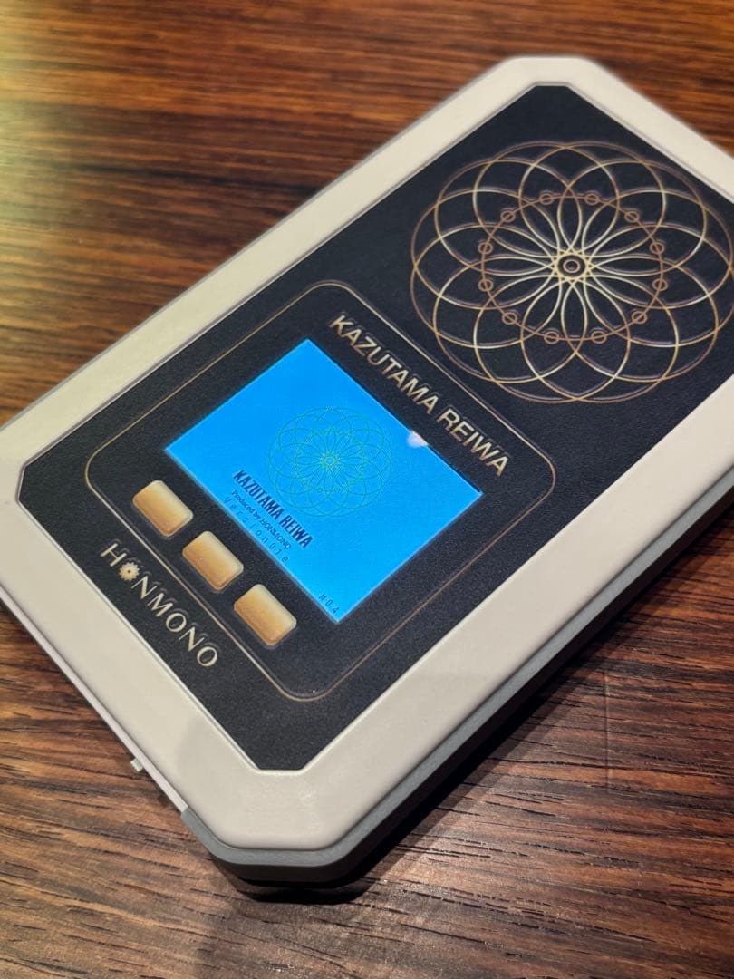 数霊REIWA 動作確認済　DVD付