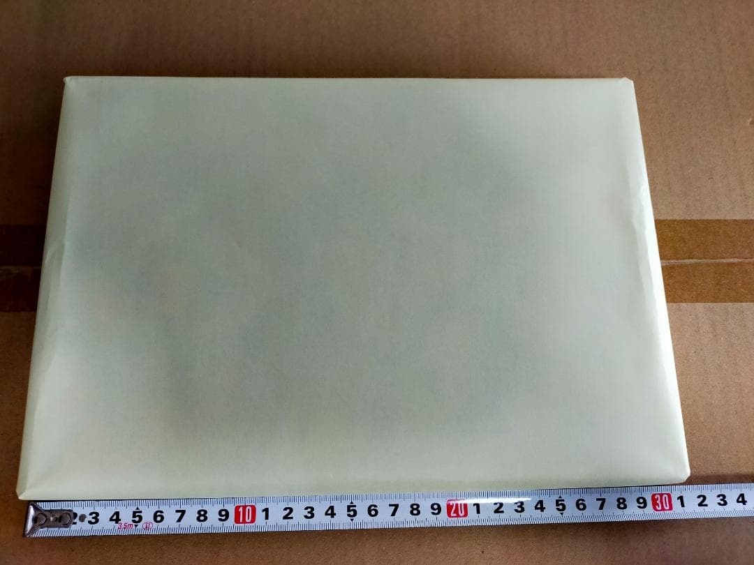 藤ちょこ 直筆サイン入り オーロラアート A4サイズ 絵守未來 - メルカリ