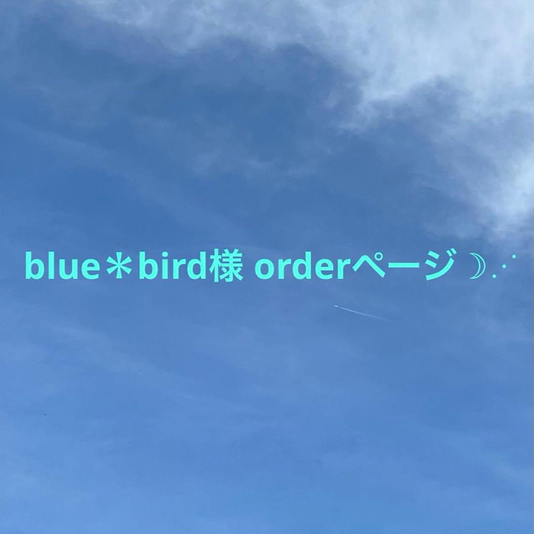 blue＊bird様 orderページ☽⋰