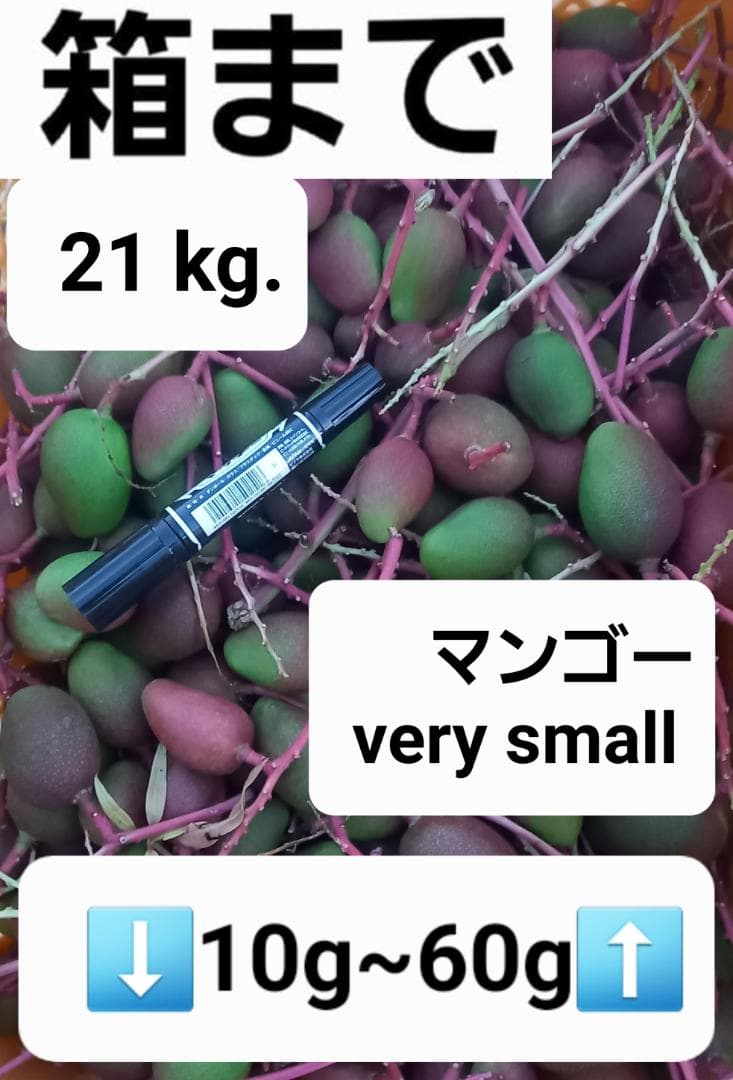 マンゴー+摘果 / 21 kg including box