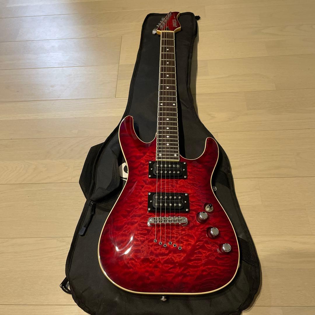 ギターソフトケース付