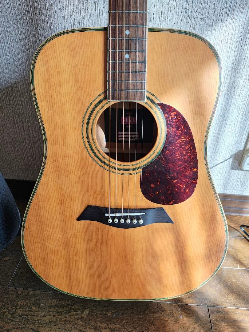 オンラインホビー・楽器・アート - Elioth BR-100/NS(改)エレアコ