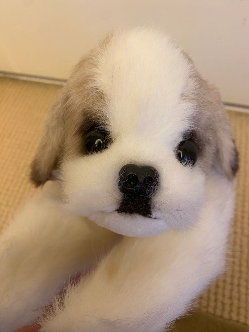 四季オリジナル　シーズー　ぬいぐるみ　新品