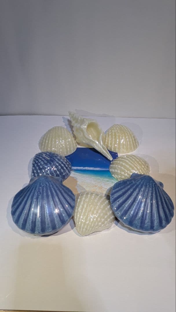 新品 貝型 キャンドル 13個セット 楽天市場】キャンドル モールド 貝殻 貝 シェル型 ポリ製 キャンドル