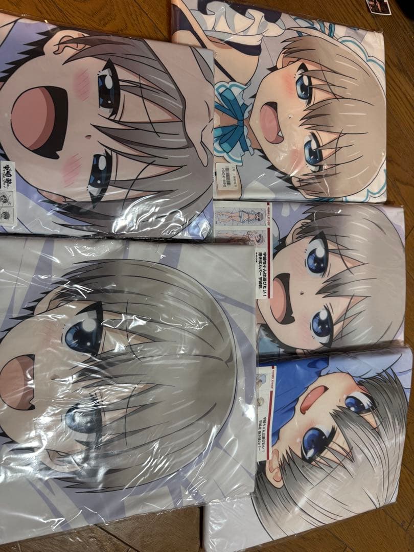 宇崎ちゃんは遊びたい 抱き枕カバー5枚セット