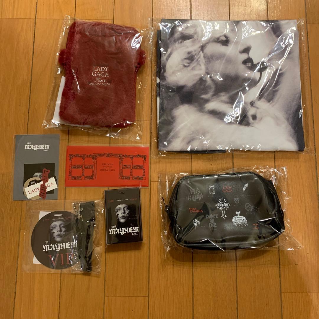 Lady Gaga マルチアイテムセット AZUL BY MOUSSY (アズール バイ マウジー)より、世界的アーティスト