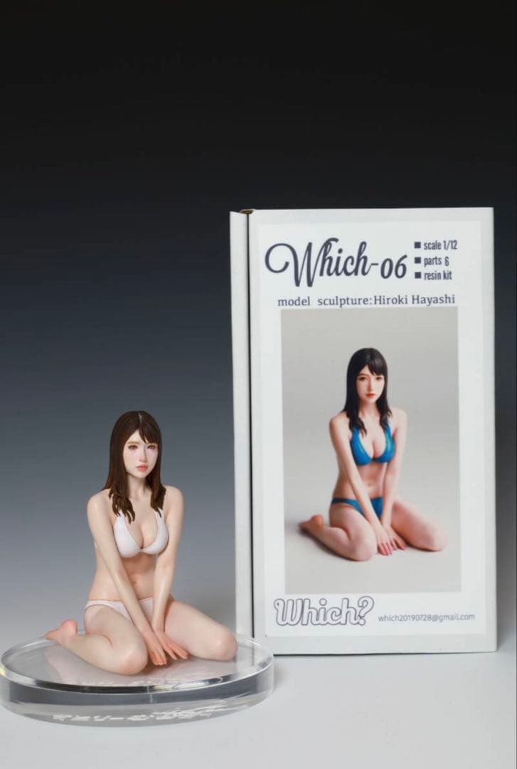 塗装済完成品！Which-06 1/12スケール フィギュア 林浩己