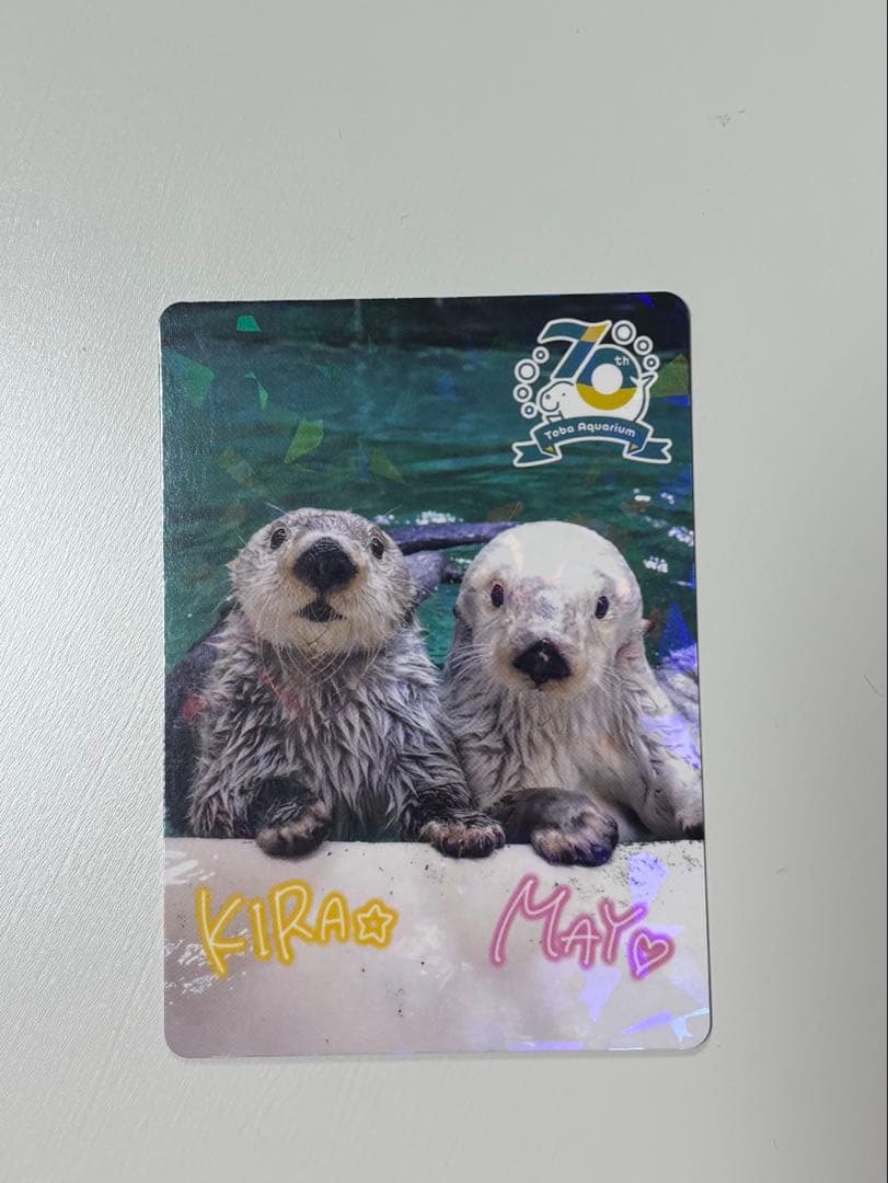 鳥羽水族館　コレクションカード　キラ　メイ