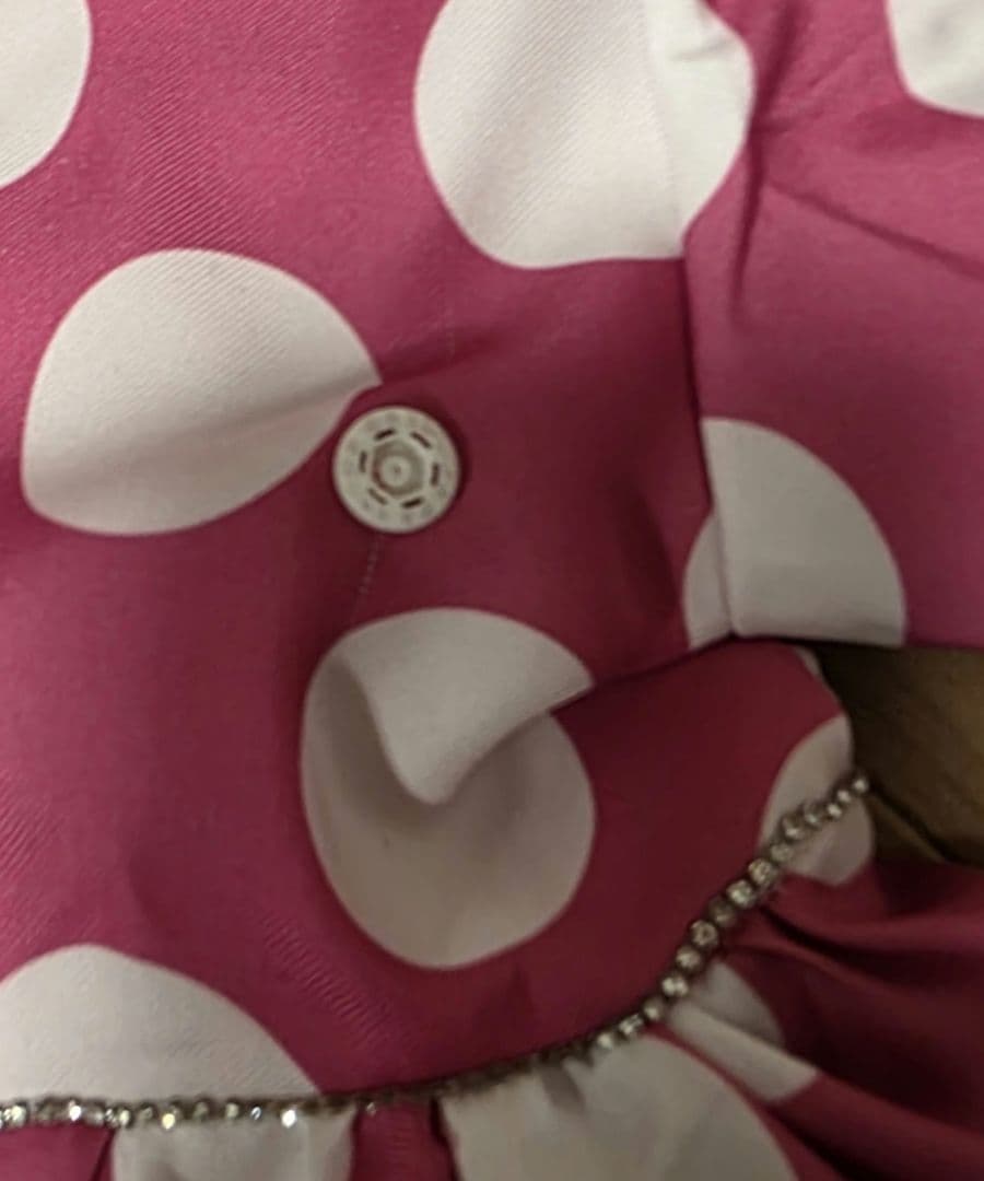 ワケアリ 140センチ ミニー コスプレ パルパルーザ ファンダーランド