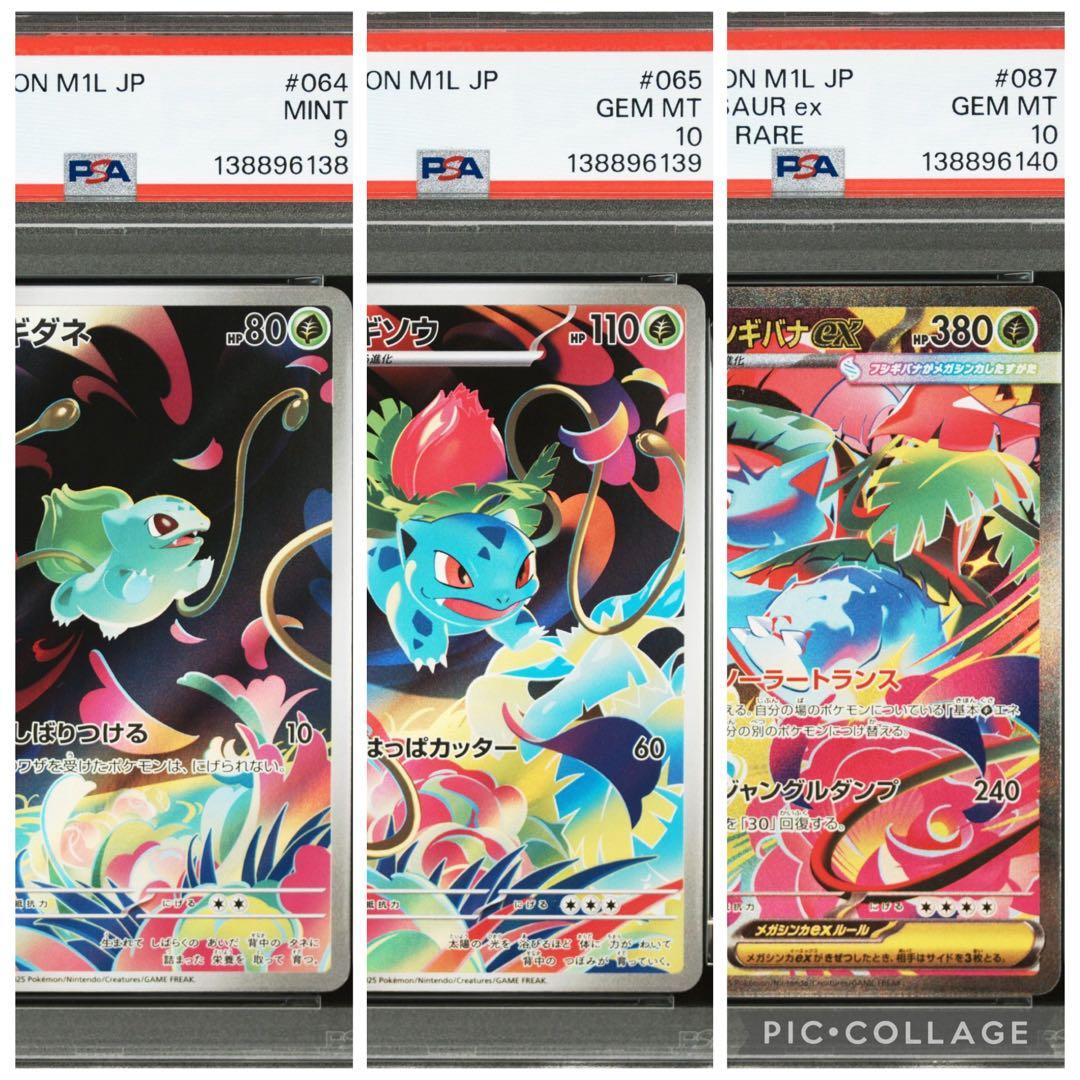 【PSA3連番】フシギダネAR•フシギソウAR•メガフシギバナex sar