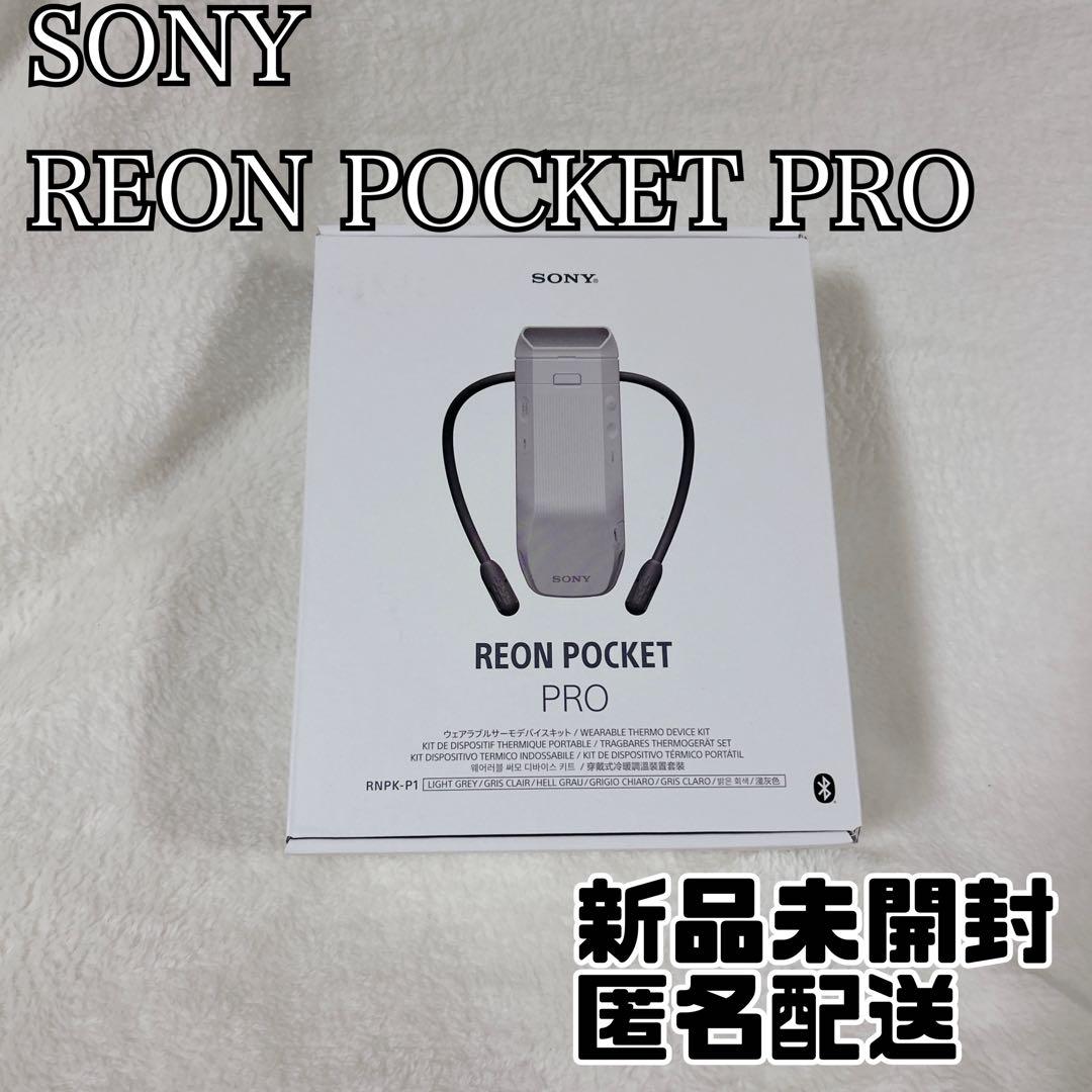 SONY REON POCKET PRO RNPK-P1T レオンポケットプロ