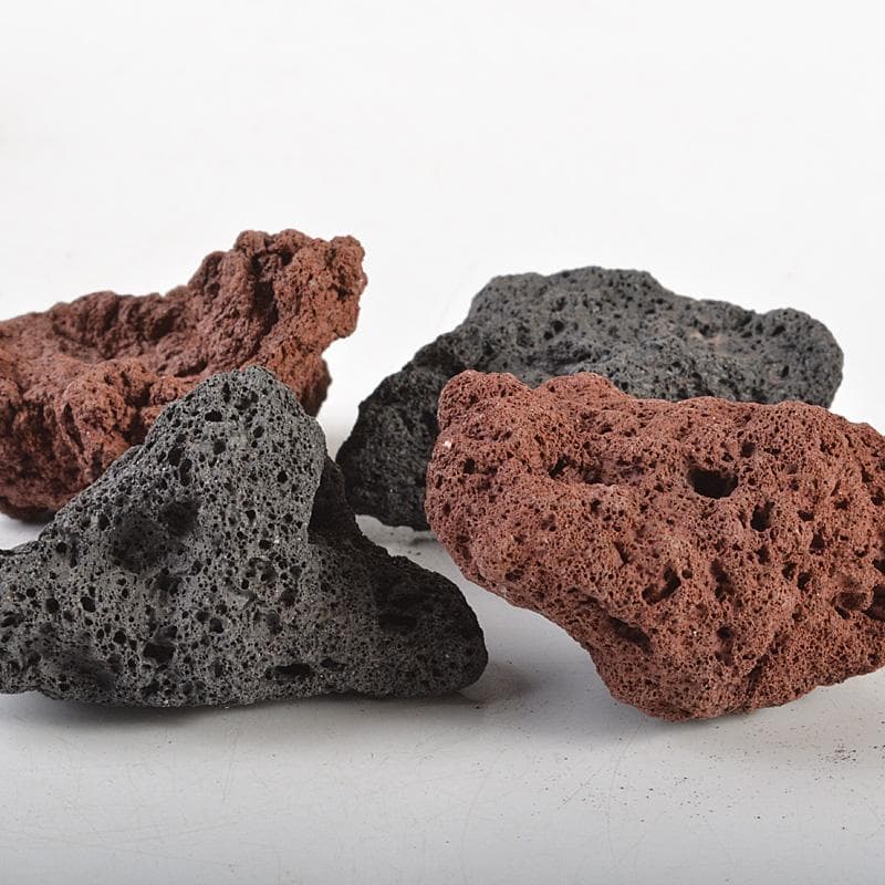 鑑賞石 天然石 木化石 梅化石など 置物 12点まとめて C R6254C - メルカリ