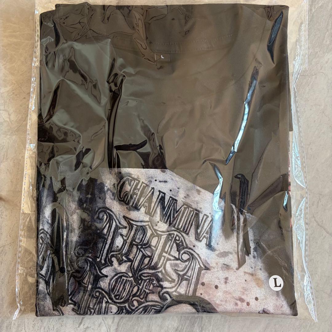 ちゃんみな AOD4 Tシャツ 新品 Lサイズ - メルカリ