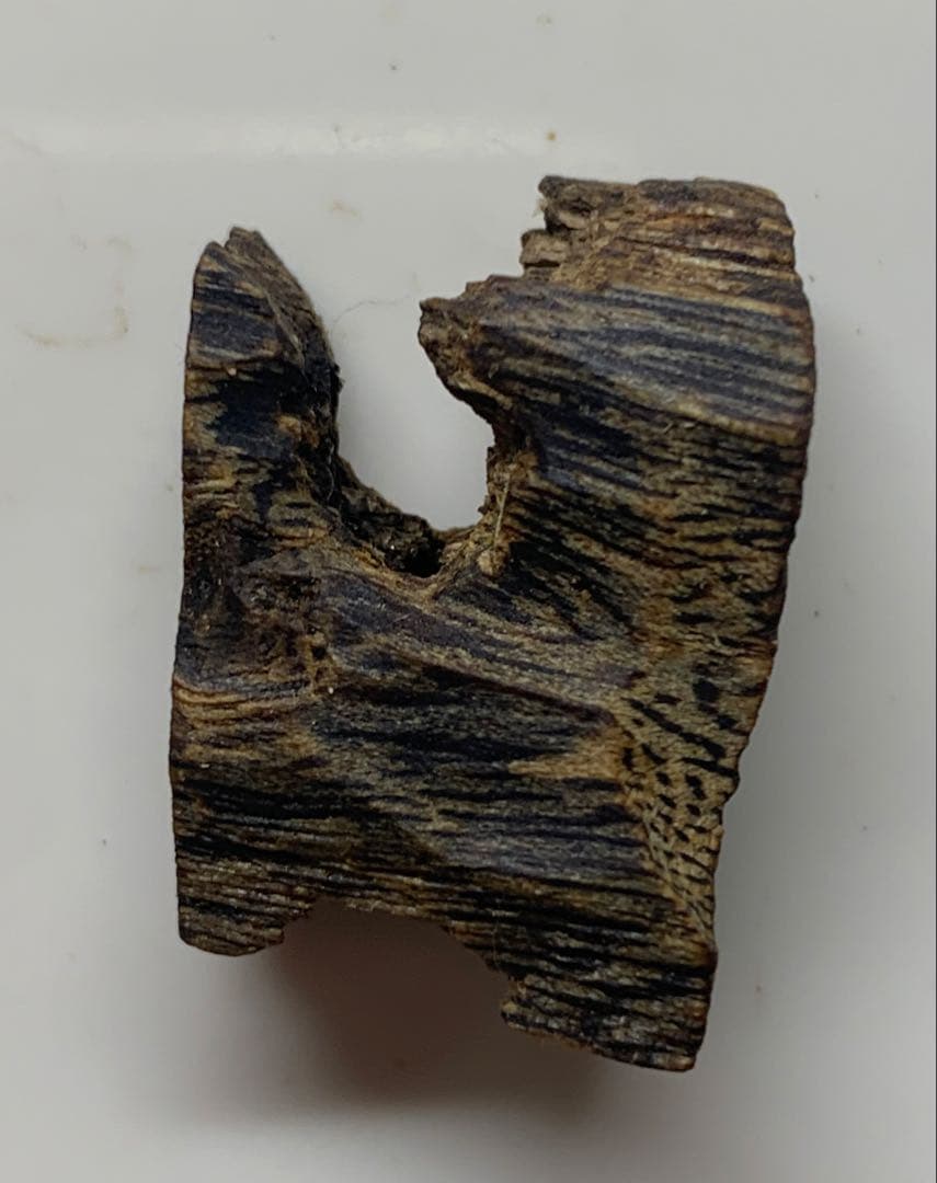 極上緑油伽羅 沈香 香木 沈香線香 緑油伽羅 重さ:2g 限定価格