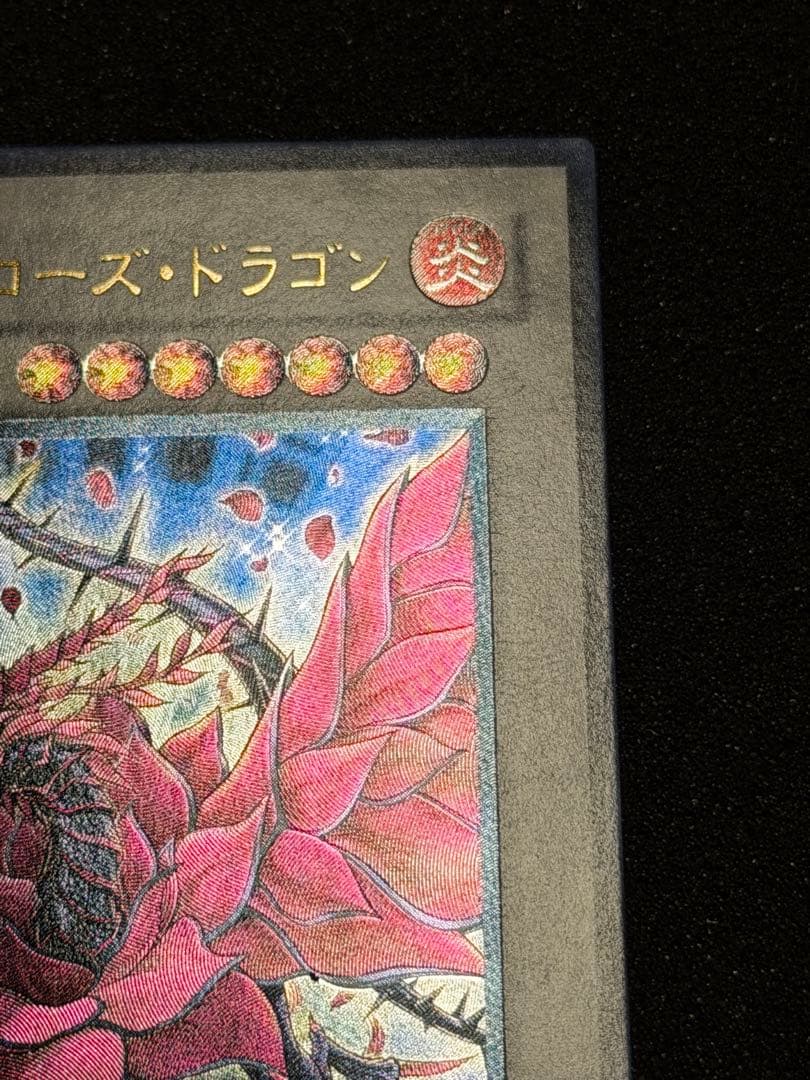 2026年最新ブラックローズドラゴン 【超極美品〜完美品級】ブラックローズ