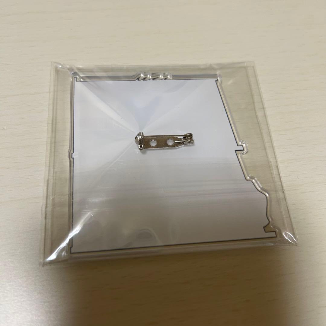 家庭教師ヒットマンREBORN ザンザス アクリルバッジコレクション