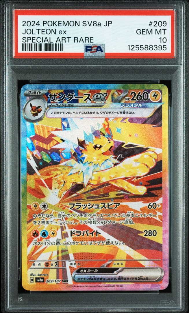 【PSA10】サンダースex sar テラスタルフェスex