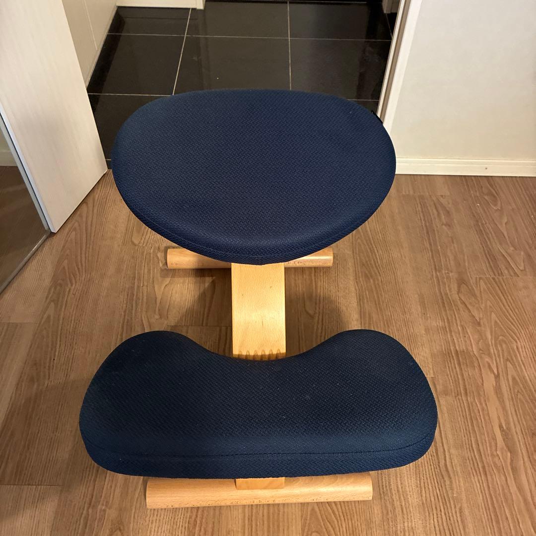 送料込【美品】balans Easyバランスチェア