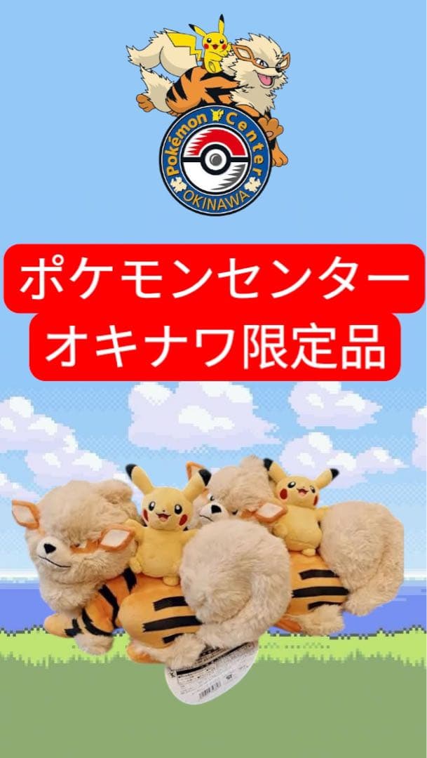 2匹】ウィンディ ピカチュウ 沖縄 ポケセン 1周年 記念品 店舗販売限定