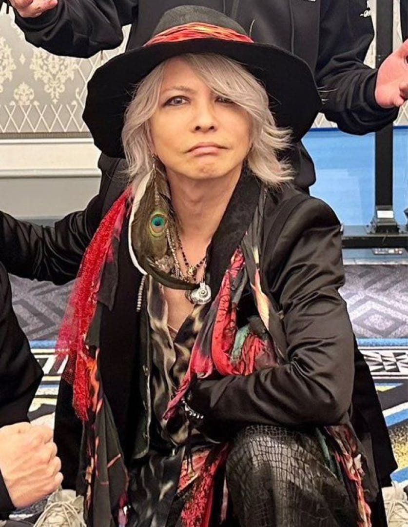 gunda HYDE着 Peacock PI ピーコックフェザー クロス ピアス - メルカリ