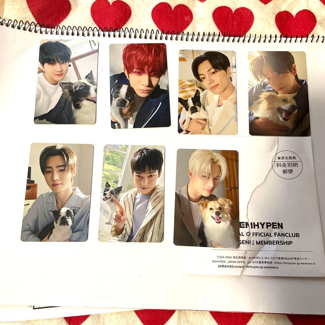 ENHYPEN FC限定　アンケートトレカ特典　エナプ　コンプ　2025