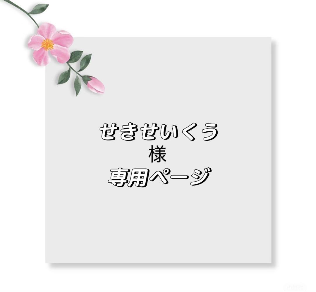 せきせいくうページ