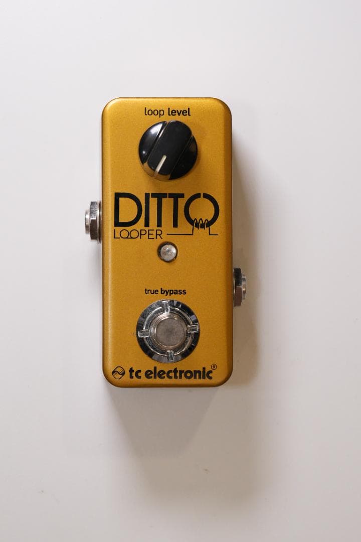 tc electronic DITTO LOOPER ゴールド