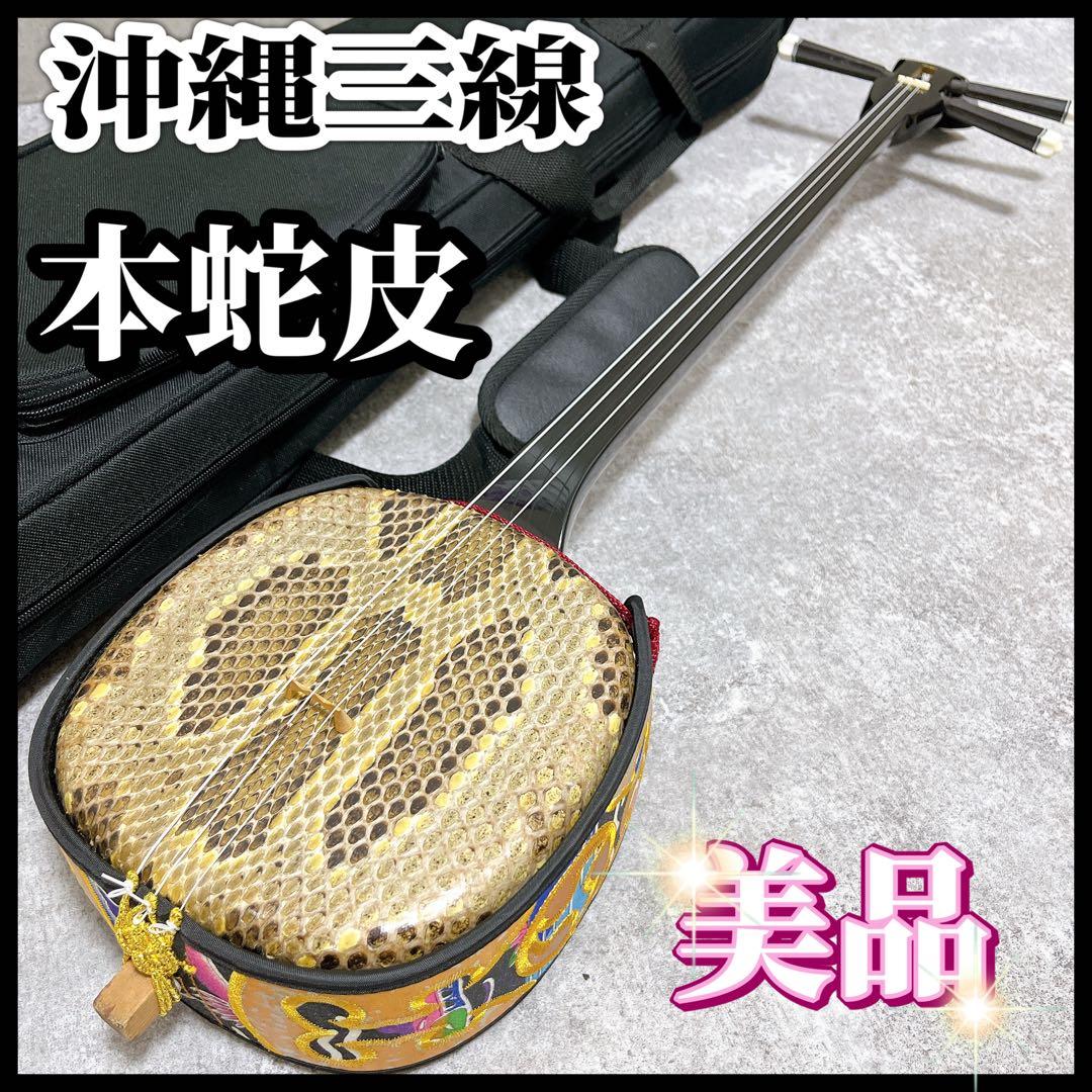 沖縄三線 さんしん 本蛇皮 革 初心者 おすすめ ケース付き 本物志向 黒塗り