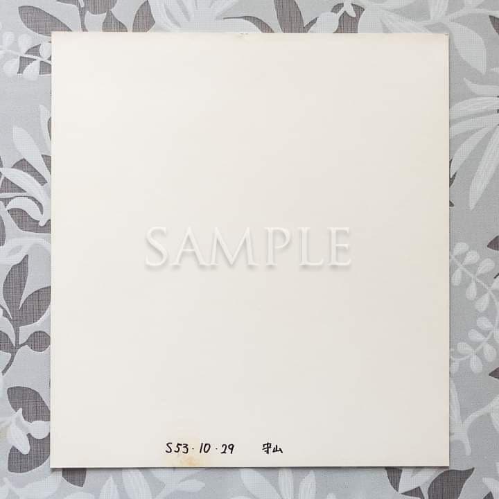 石野真子失恋記念日シングルレコード＆サイン＆生写真2枚 🎱